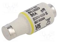 Fuse: fuse; gR; 30A; 500VAC; 500VDC; industrial; DII; SILIZED SIEMENS