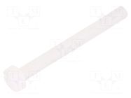 Screw; M3x30; 0.5; Head: cheese head; slotted; 0.9mm; polyamide DREMEC