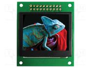 Display: OLED; graphical; 1.69"; 128x64; Dim: 45x52x5.1mm; RGB NEWHAVEN DISPLAY INTERNATIONAL