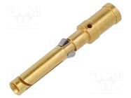 Contact; female; gold-plated; 2.5mm2; EPIC H-D 1.6; bulk; crimped LAPP