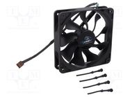 Fan: DC; axial; 12VDC; 120x120x25mm; 28.9dBA; HDB; 600÷1900rpm Akasa