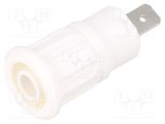 Connector: 4mm banana; socket; 24A; 1kV; Cutout: Ø12.2mm; white STÄUBLI