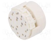 Connector: M23; contact insert; PIN: 12; male; for cable; 8A; 200V HUMMEL