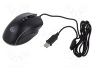 Optical mouse; black; USB A; wired; Features: DPI change button GEMBIRD