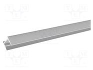 Profiles for LED modules; silver; L: 1m; MICRO-HG; aluminium KLUŚ