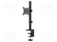 Monitor holder; 9kg; 17÷32"; Standard: 75x75mm,100x100mm GEMBIRD