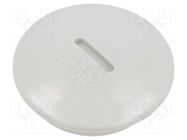 Stopper; PG29; polystyrene; light grey; 8mm OBO BETTERMANN