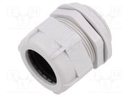 Cable gland; M50; 1.5; IP68; polyamide; light grey; UL94V-2 BM GROUP