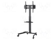 LCD/LED holder; free-standing handle; 35kg Goobay