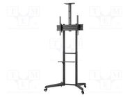 LCD/LED holder; free-standing handle; 50kg Goobay