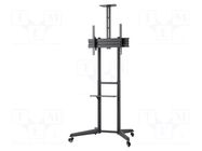 LCD/LED holder; free-standing handle; 50kg Goobay