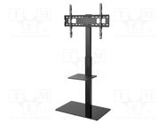 LCD/LED holder; free-standing handle; 40kg Goobay