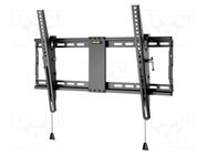 LCD/LED holder; black; tiltable; 70kg GOOBAY