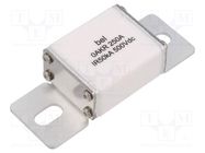 Fuse: fuse; 250A; 500VDC; ceramic BEL FUSE