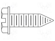 Screw; 8x12.7; Head: cheese head; slotted; steel; zinc KEYSTONE