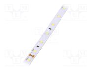 LED tape; white; 2835; LED/m: 60; 10mm; IP64; 120°; 12W/m; CRImin: 80 POS