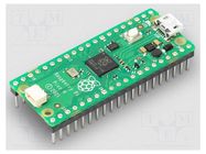 Single-board computer; Raspberry Pi Pico; Cortex M0+; RP2040 RASPBERRY PI