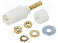 Connector: 4mm banana; socket; 1kV; 32A; white; gold-plated STÄUBLI