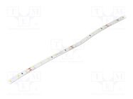 LED tape; white warm; 2835; LED/m: 60; 10mm; IP33; 120°; 12W/m; 24VDC POS