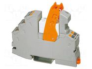 Relay: interface; DPDT; Ucoil: 24VAC; 50mA; 0.05A/30VAC; max.36VDC PHOENIX CONTACT