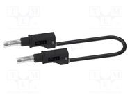 Test lead; 12A; banana plug 4mm,both sides; Urated: 600V; black ELECTRO-PJP