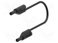 Test lead; 10A; banana plug 2mm,both sides; Urated: 600V; black ELECTRO-PJP