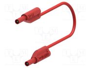 Test lead; 10A; banana plug 2mm,both sides; Urated: 600V; red ELECTRO-PJP