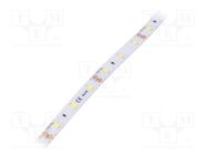 LED tape; white; 2835; 12V; LED/m: 60; 8mm; IP64; 120°; 6W/m POS