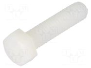 Screw; M5x20; 0.8; Head: hexagonal; polyamide; DIN 933 BOSSARD