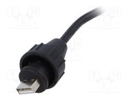 connector UA-20BFMM-SL7A01 AMPHENOL LTW