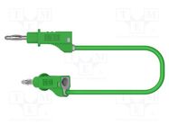 Test lead; 60VDC; 30VAC; 36A; banana plug 4mm,both sides; green ELECTRO-PJP