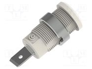 Connector: 4mm banana; socket; 36A; 1kV; white; nickel plated ELECTRO-PJP