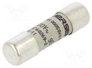 Fuse: fuse; gG,time-lag; 500mA; 500VAC; 250VDC; 10x38mm MERSEN