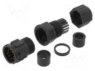 connector CD-10BMMA-LL7001 AMPHENOL LTW
