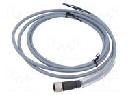 Cable: for sensors/automation; PIN: 4; straight; 2m; M12; 250VAC; 4A CARLO GAVAZZI