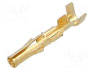 Contact; female; gold-plate MOLEX