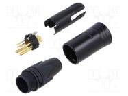 Plug; XLR; male; PIN: 10(2+8); straight; for cable; soldering; XX-14 NEUTRIK