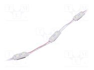 LED; white; 7000K; 500mW; 70lm; IP67; 140°; No.of diodes: 2; -25÷55°C POS