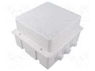 Enclosure: junction box; X: 170mm; Y: 190mm; Z: 120mm; wall mount JONEX