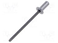 Rivet; aluminium; Rivet diam: 3.2mm; L.rivet: 9.1mm; BN 20927 BOSSARD