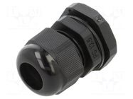 Cable gland; PG13,5; polyamide; black KRADEX