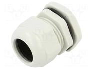 Cable gland; PG29; polyamide; light grey KRADEX