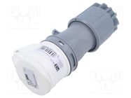 Connector: AC supply; plug; female; 16A; IEC 60309; IP44; PIN: 3 PCE