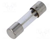 Fuse: fuse; time-lag; 4A; 250VAC; cylindrical,glass; 5x20mm; brass EATON/BUSSMANN