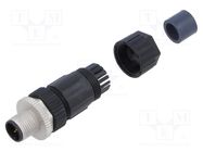 Connector: M12; plug; male; straight; screw terminal; for cable AMPHENOL