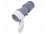 Connector: AC supply; plug; female; 16A; IEC 60309; IP44; PIN: 2 PCE