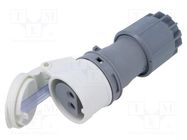 Connector: AC supply; plug; female; 32A; IEC 60309; IP44; PIN: 2 PCE