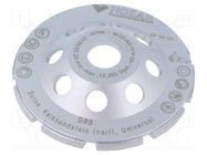 Sanding plate; Ø: 125mm; Øhole: 22.23mm; concrete; Profi Line NOZAR DIAMANTWERKZEUGE