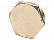 Protection cap; metal; Thread: PG21; Spanner: 30mm; with seal HARTING