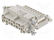 Connector: HDC; contact insert; female; Han E® AV; PIN: 16; 16+PE HARTING